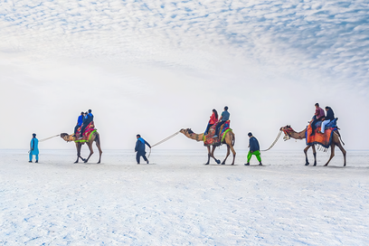 Rann of Kutch desert festival Gujarat